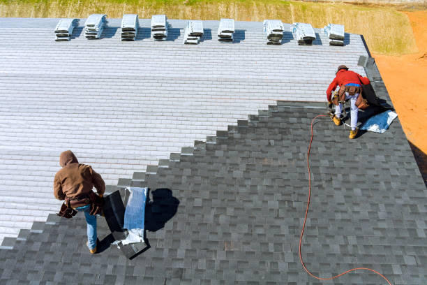 Best Storm Damage Roof Repair  in Denton, MD