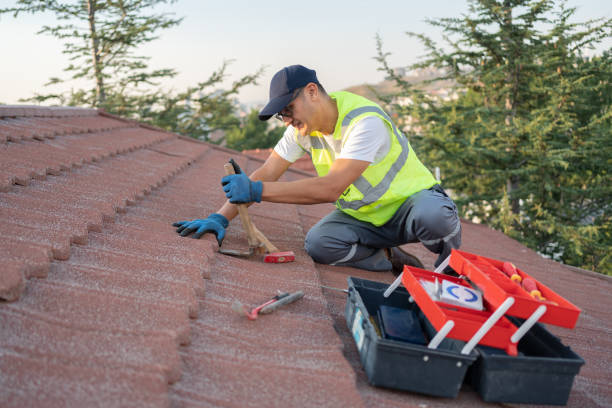 Best Roof Maintenance Services  in Denton, MD